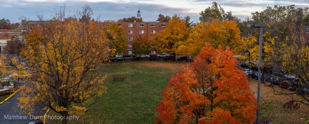 The Fall Colors at Sunset